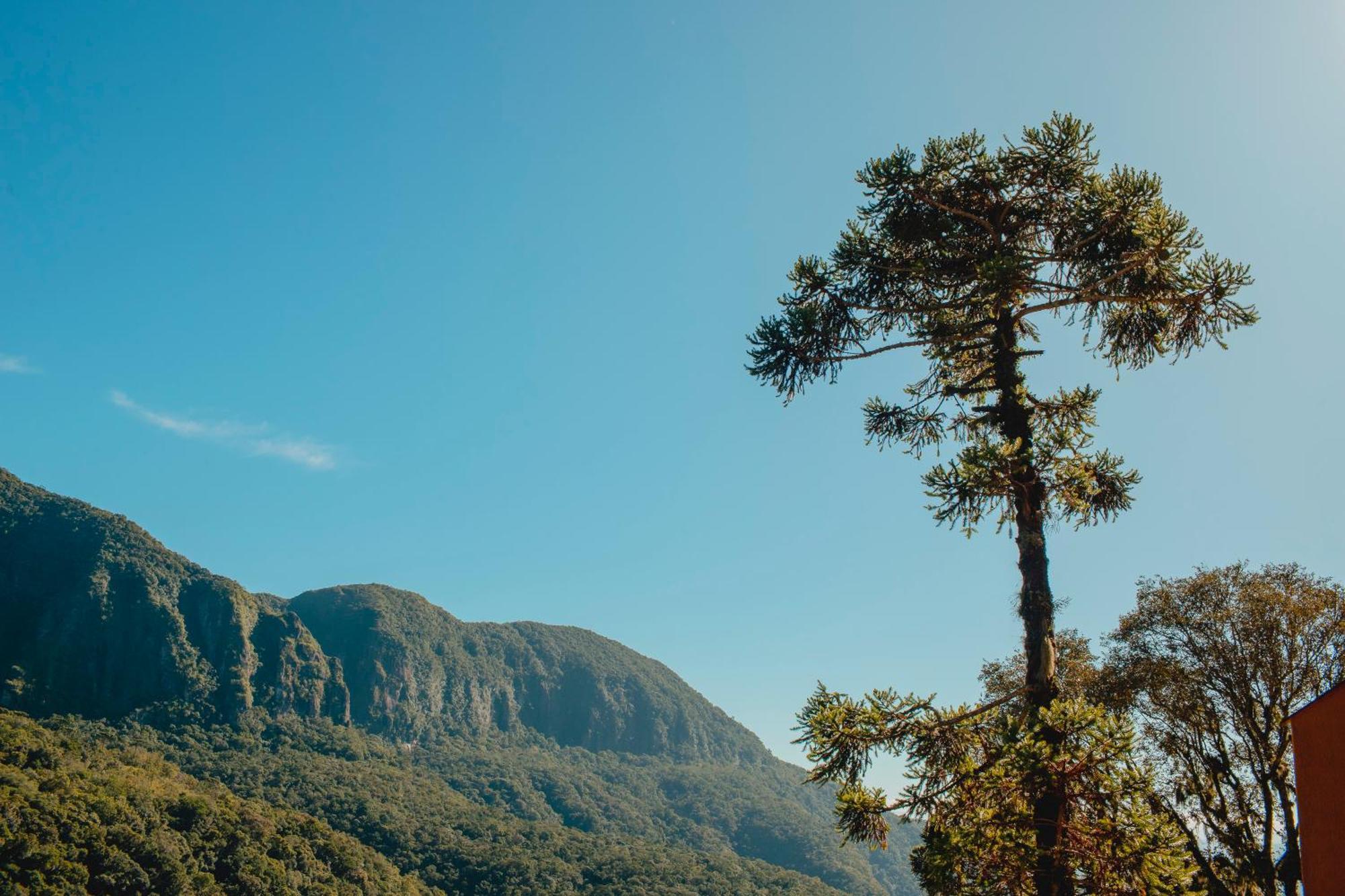 Pousada Bugio Da Serra Novo Horizonte  Esterno foto
