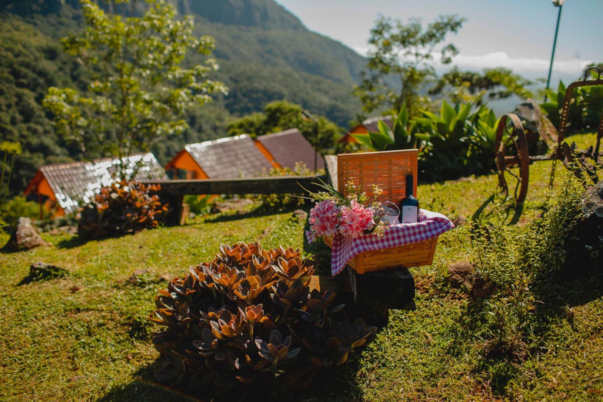 Hotel Pousada Bugio Da Serra Novo Horizonte  Esterno foto